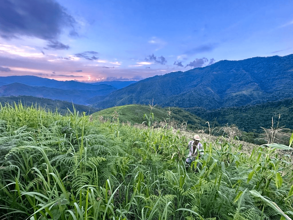 A Different Kind of Whiskey: Inside Maíz Nation