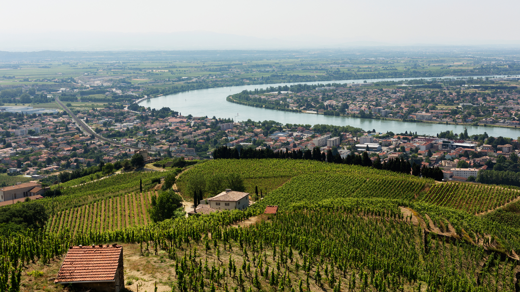 Rhone Valley Wine Exploration