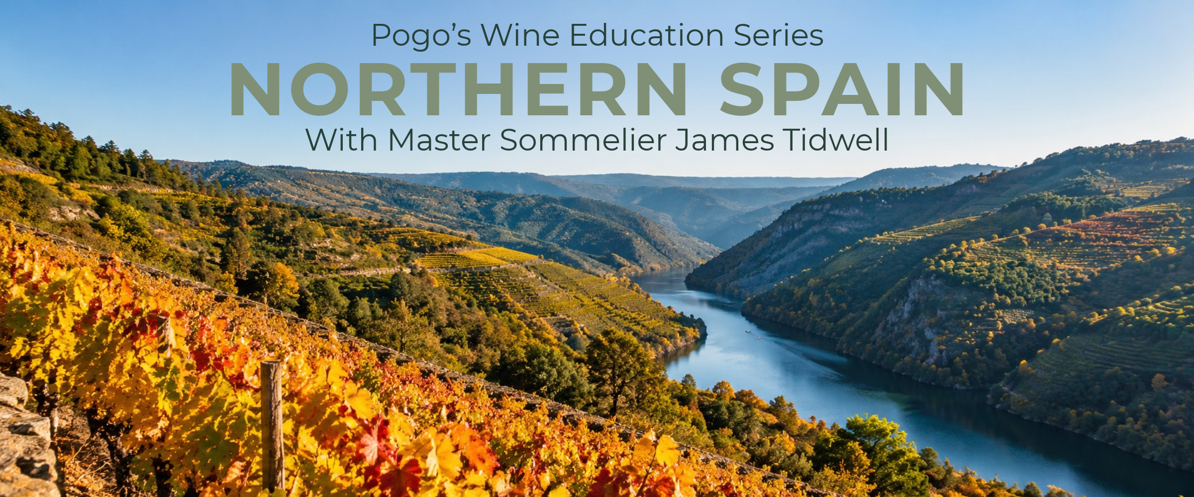 Pogo's Wine Education Series: Northern Spain