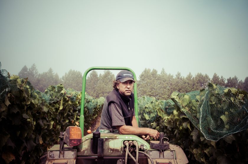 Failla Pinot Party with Friends