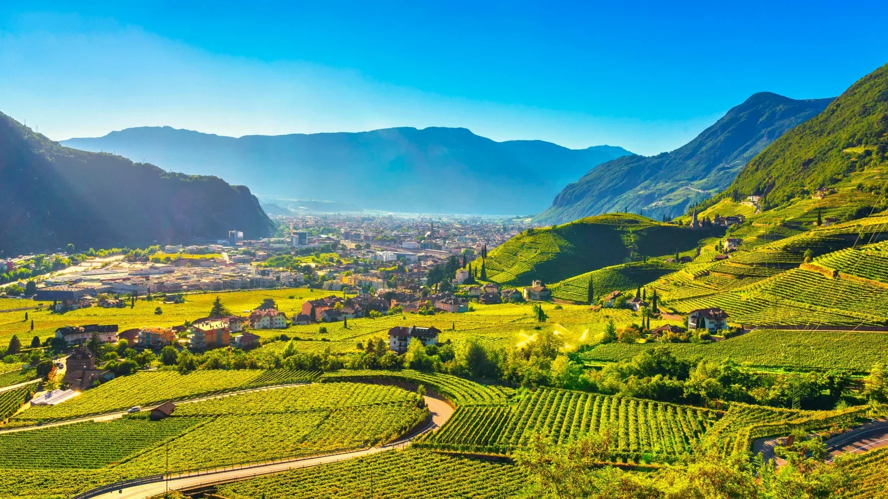 Pogo's Wine Education Series: Italy's Northern Frontier