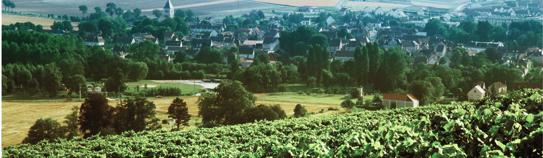 Chablis