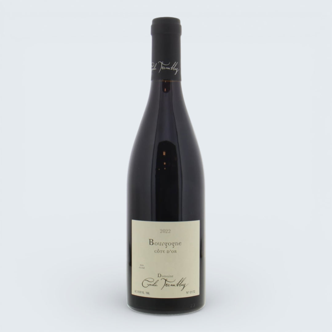 Cecile Tremblay Bourgogne Cote D'Or Roug 2021 (750ml)