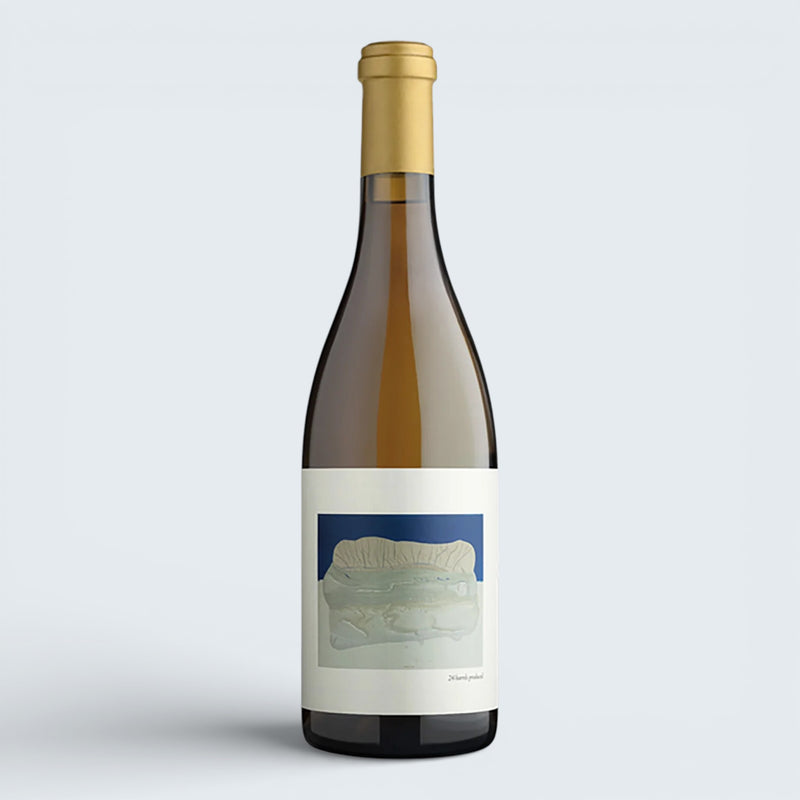 Chanin Chardonnay Bien Nacido Vineyard Santa Maria Valley 2021 (750ml)