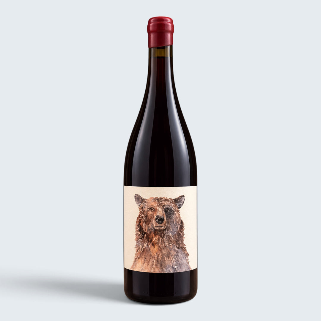 Alma Fria Pinot Noir Holtermann Vineyard 2024 (750ml)