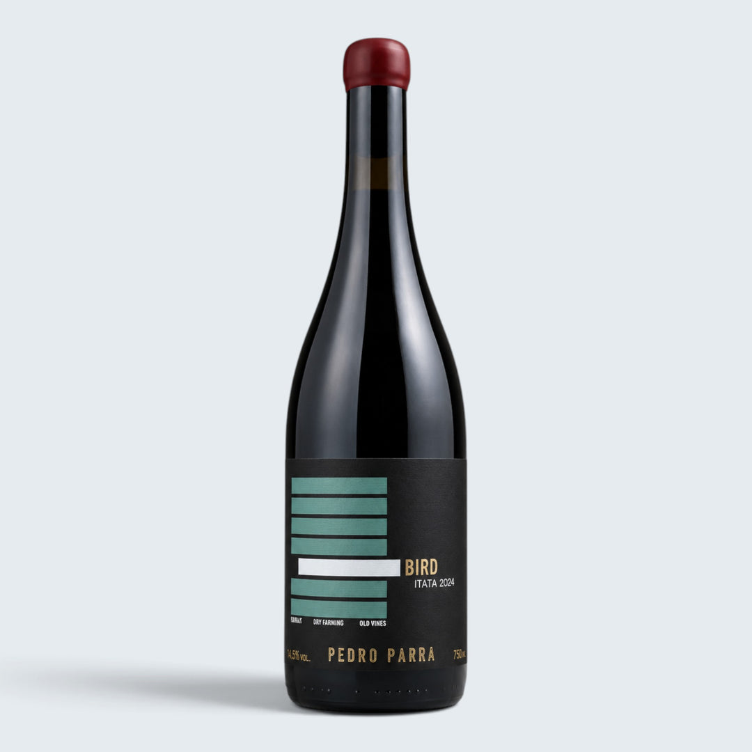 Pedro Parra Bird Pais Itata 2024 (750ml)