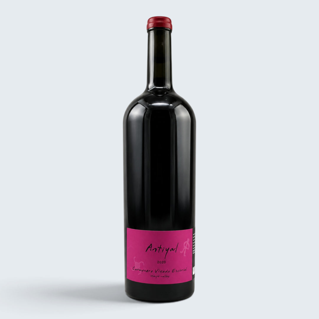 Antiyal Vinedo Escorial Carmener Maipo Valley 2020 (750ml)