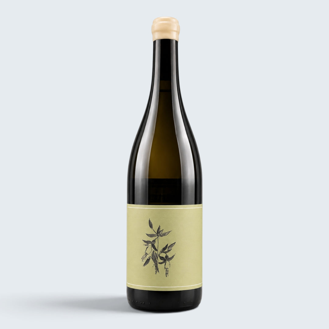 Arnot Roberts Ribolla Gialla Bengier Vineyard Napa Valley 2023 (750ml)