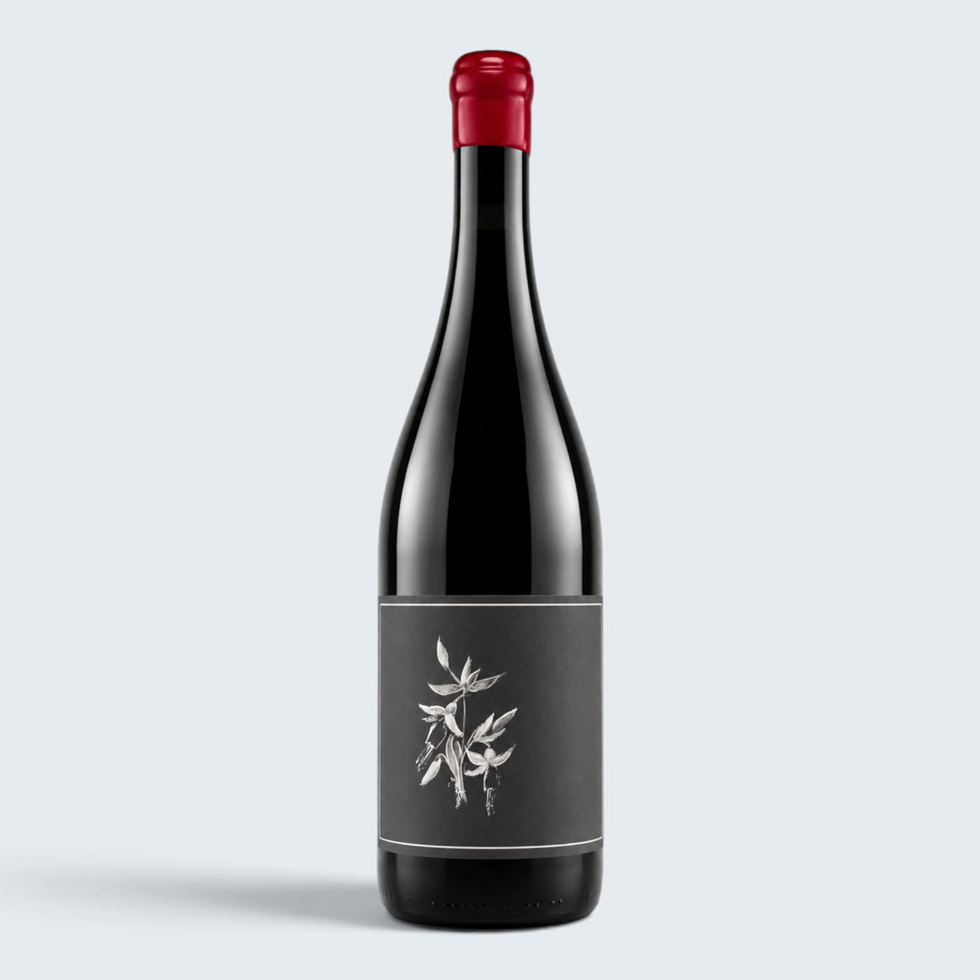Arnot Roberts Trousseau North Coast 2024 (750ml)