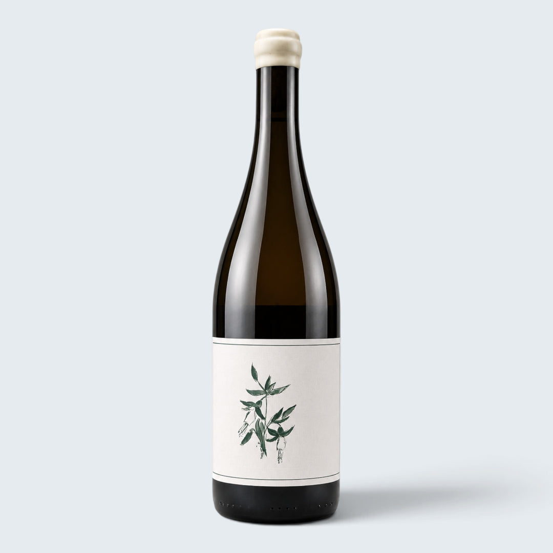 Arnot Roberts Chardonnay Trout Gulch Santa Cruz Mountains 2023 (750ml)