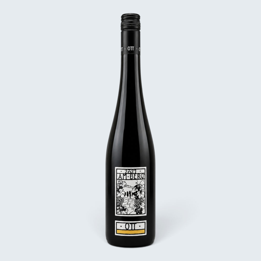 Weingut Ott Am Berg Gruner Veltliner Niederosterrich 2021 (750ml)