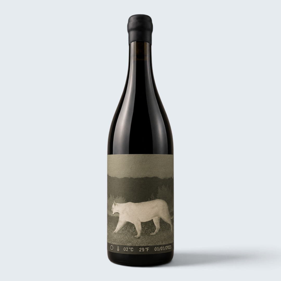 Pott Zinfandel Lagier-Meredith Zinfandel Mount Veeder 2022 (750ml)