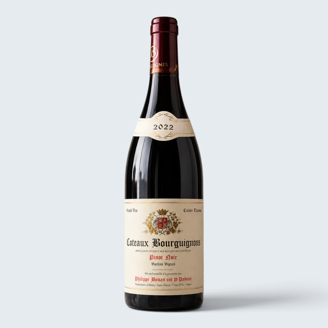 Philippe Jouan Coteaux Bourguignons Cuvee Thomas Vieilles Vignes 2023 (750ml)