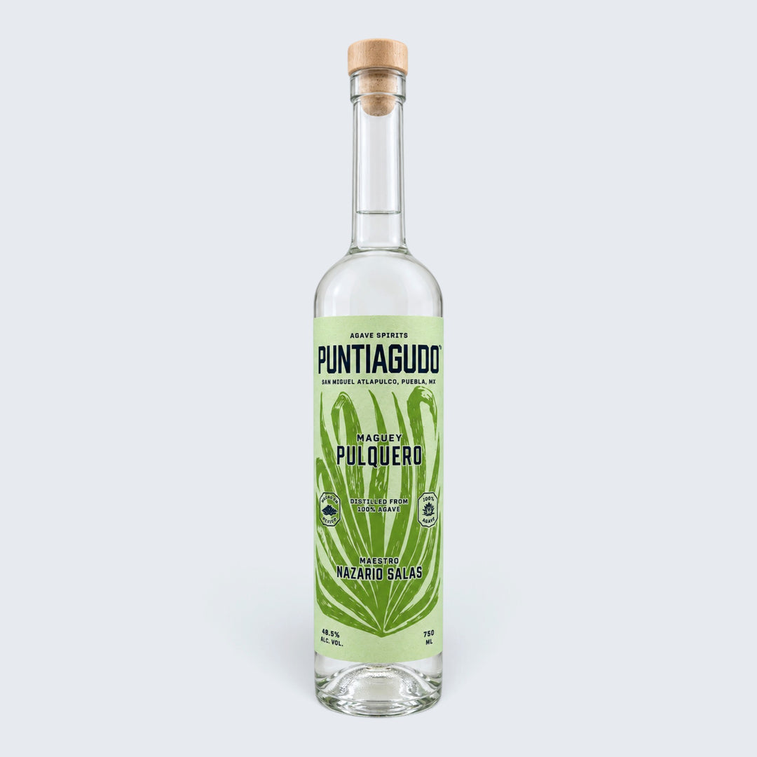 Puntiagudo Pulquero Nazario Sales (750ml)