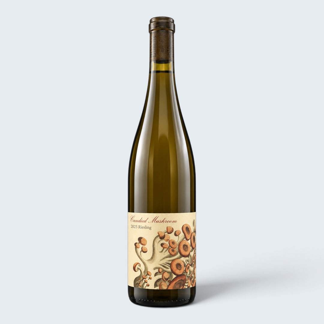Teutonic Candied Mushroom Riesling Willamette Valley 2025 (750ml)
