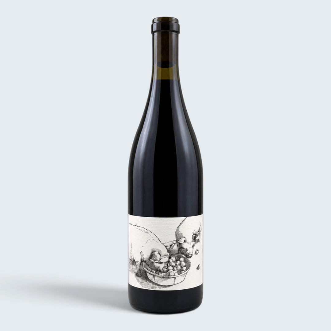 Big Table Farm Pinot Noir Willamette Valley 2024 (750ml)