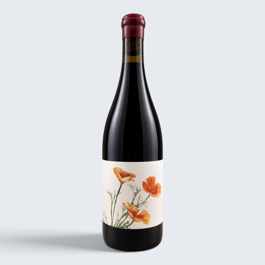 Alma Fria Pinot Noir Sonoma Coast Richardson Ranch 2024 (750ml)