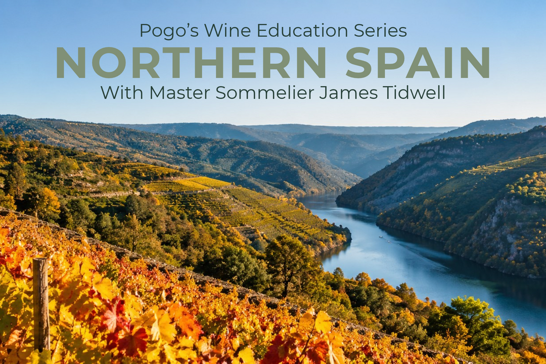 Pogo's Wine Education Series: Northern Spain