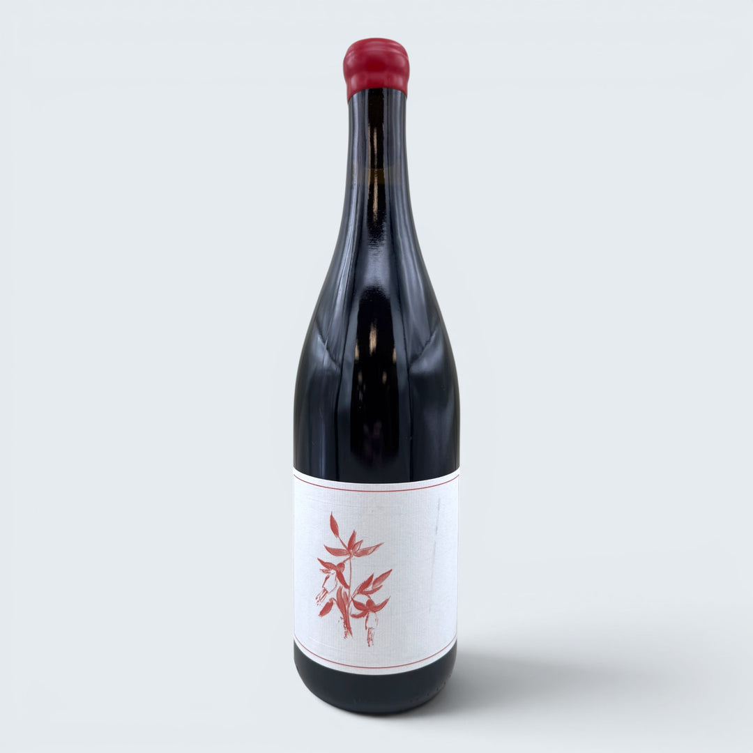 Arnot Roberts Peter Martin Ray Pinot Noir Santa Cruz Mountains 2023 (750ml)