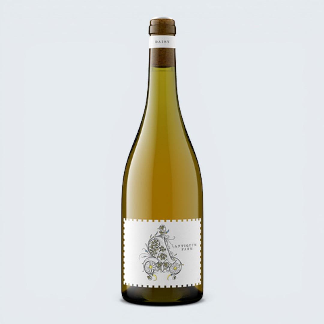 Antiquum Farm Daisy Pinot Gris Willamette Valley 2023 (750ml)