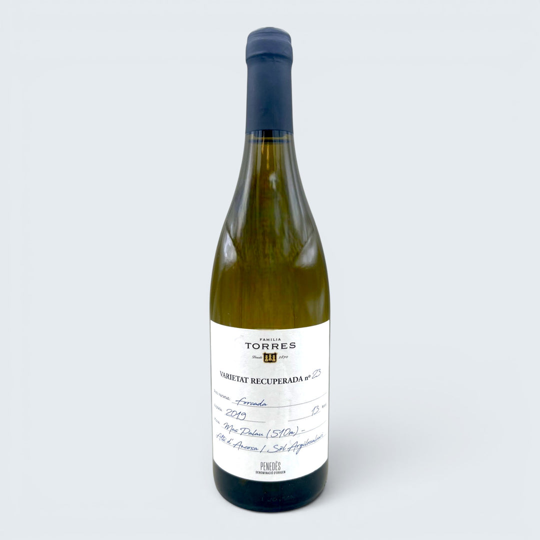 Torres Forcada Penedes 2019 (750ml)
