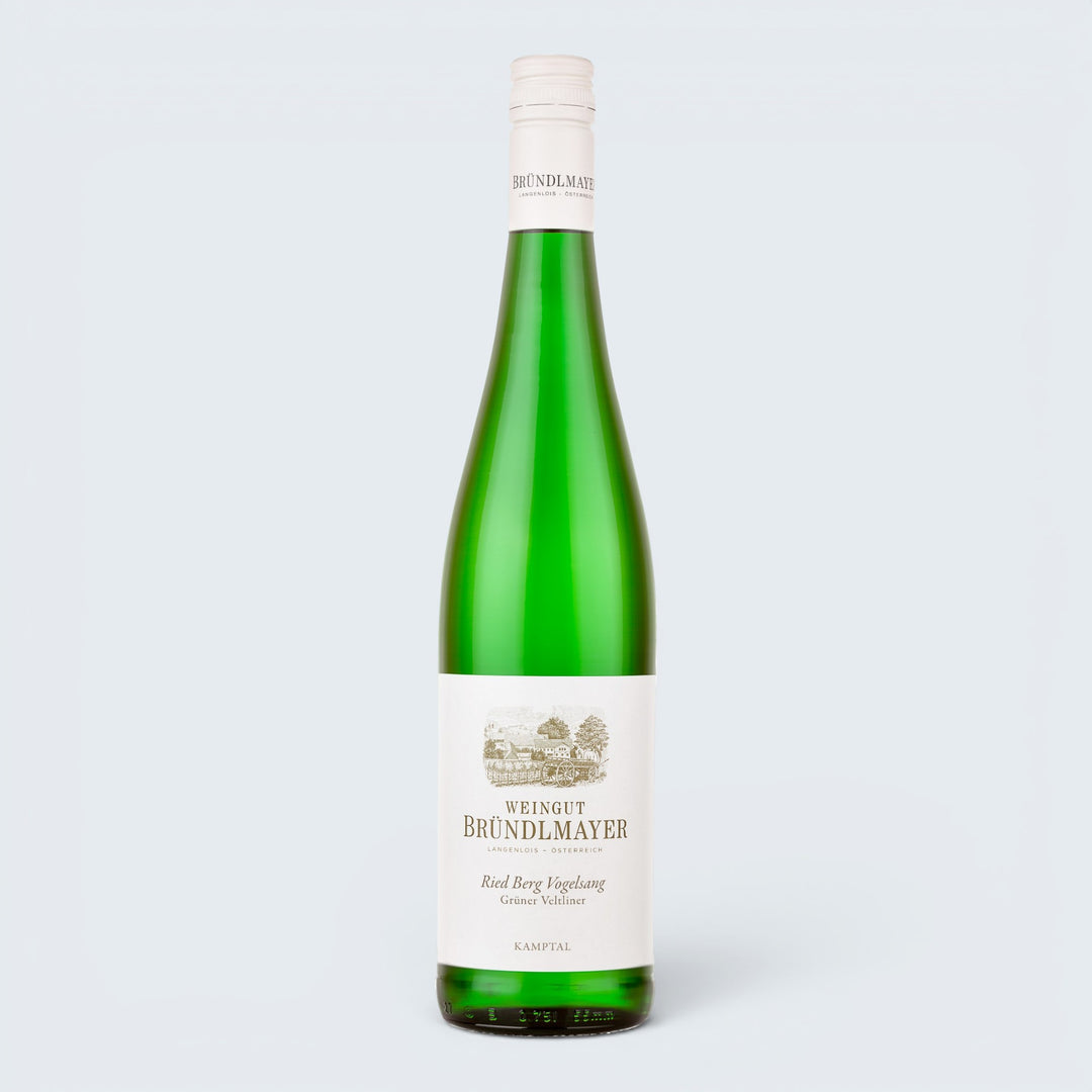 Weingut Brundlmayer Gruner Veltliner Ried Berg Vogelsang Kampstal 2022 (750ml)
