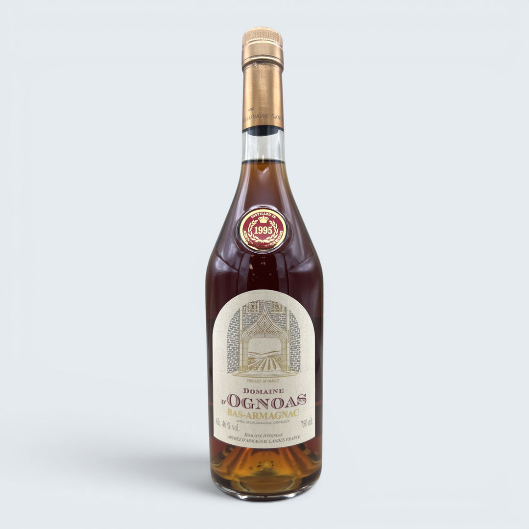 Domaine D'Ognoas Bas Armagnac 1995 (750ml)