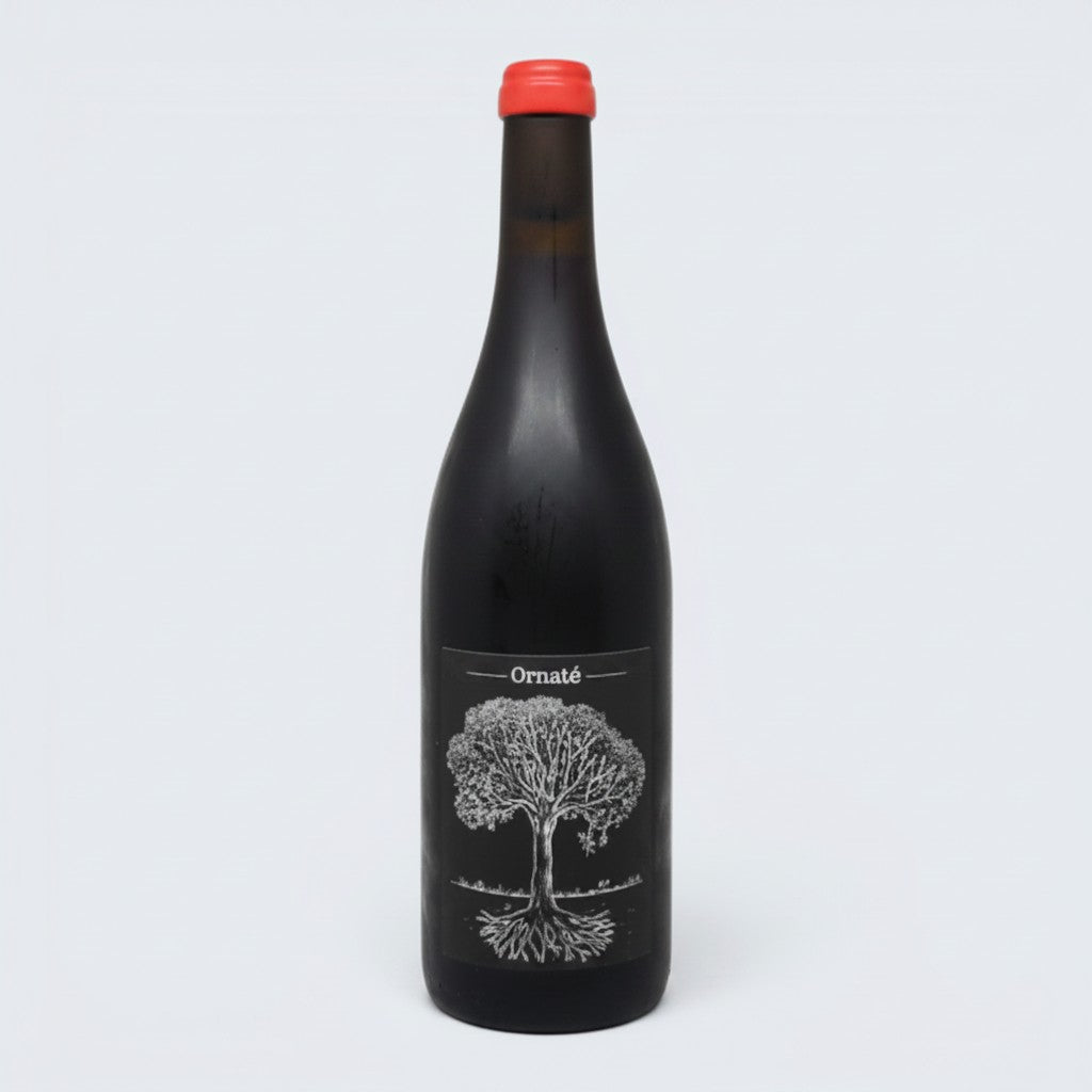 Jerome Bretaudeau Merlot Ornate Vin de France 2023 (750ml)