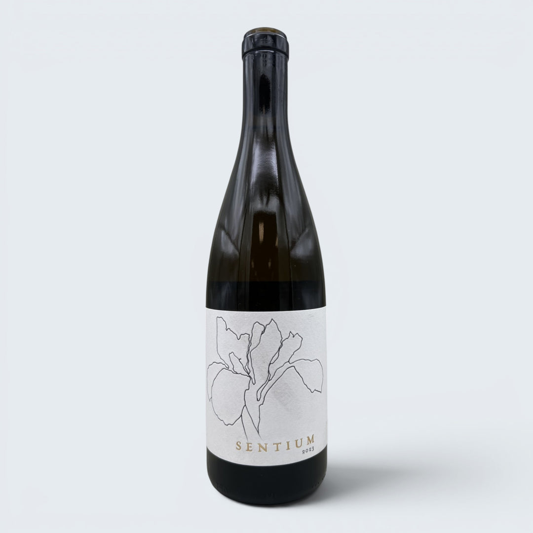 Continuum Sentium Sauvignon Blanc Mendocino County 2023 (750ml)