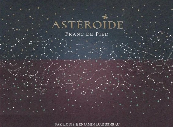 Domaine Didier - Dagueneau Asteroide Pouilly Fume 2022 (750)