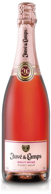 Juve y Camps - Brut Rose Pinot Noir 0 (750)