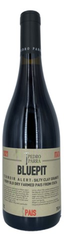 Pedro Parra - Bluepit 2022 (750)