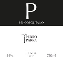 Pedro Parra - Pencopolitano 2019 (750)