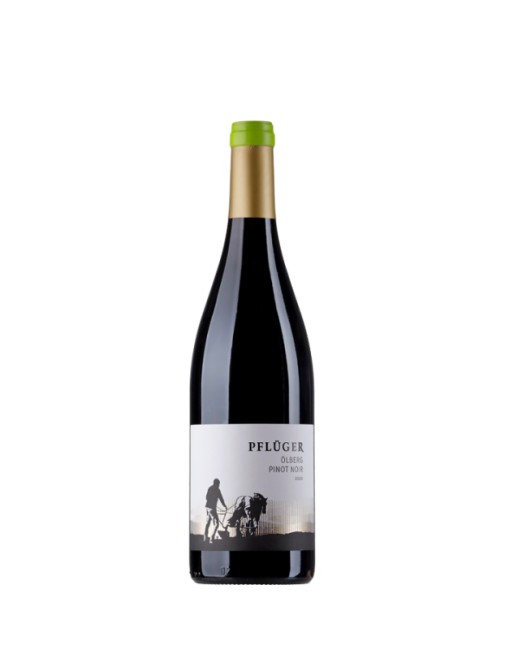 Pfluger - Pinot Noir Olberg 2020 (750)