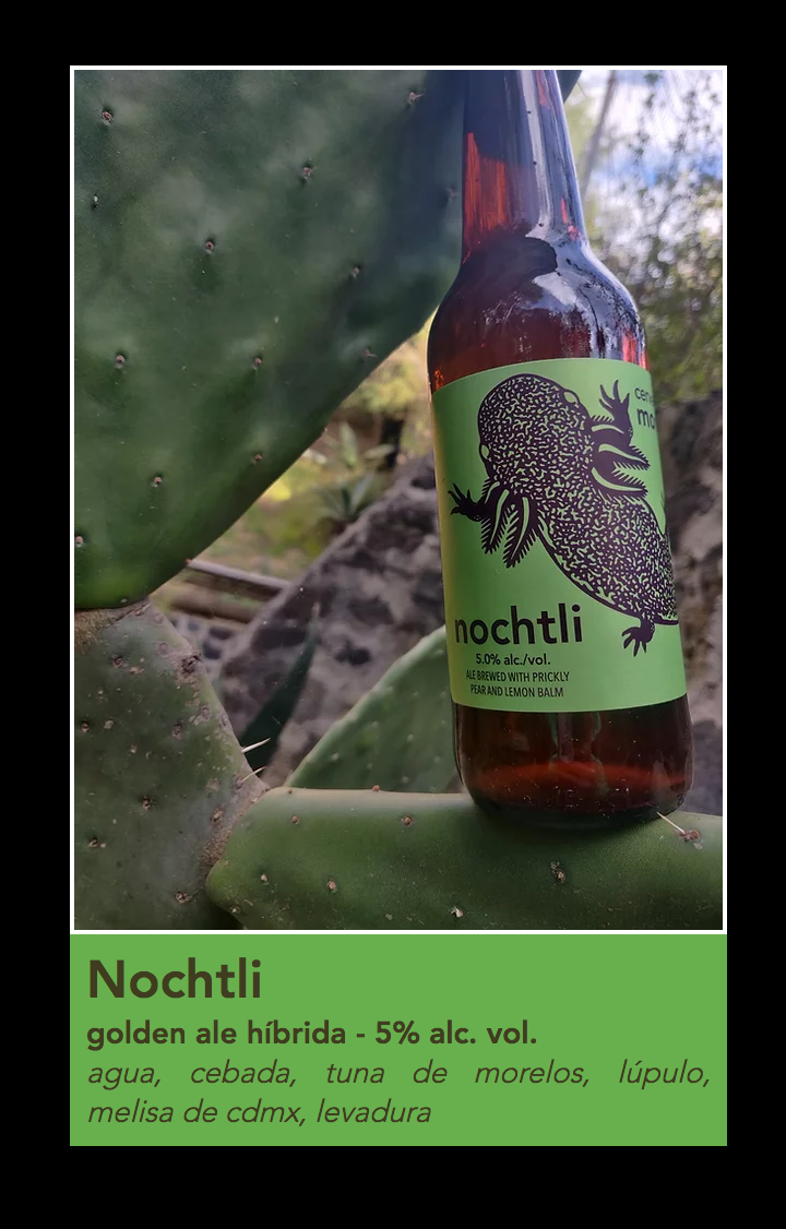 Monstruo De Aqua - Nochtil (12oz bottles) (12oz bottles)