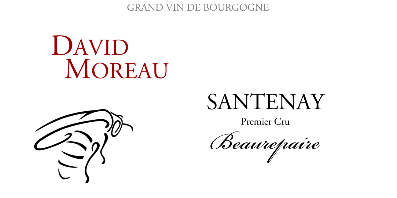 David Moreau - Santenay Rouge 1er Cru Beaurepaire 2021 (750)
