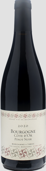 Marchand-Tawse - Bourgogne Cote d'Or Pinot Noir 2021 (750)