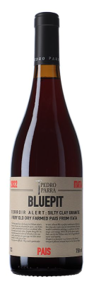 Pedro Parra - Bluepit Pais 2022 (750)