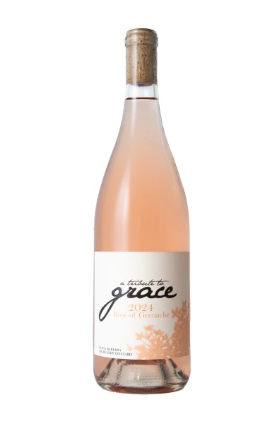 Tribute To Grace - Rose Santa Barbara Highlands 2024 (750)
