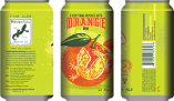 Roughtail Brewing - Roughtail Everything Rhymes with Orange (6pk) 0 (12)